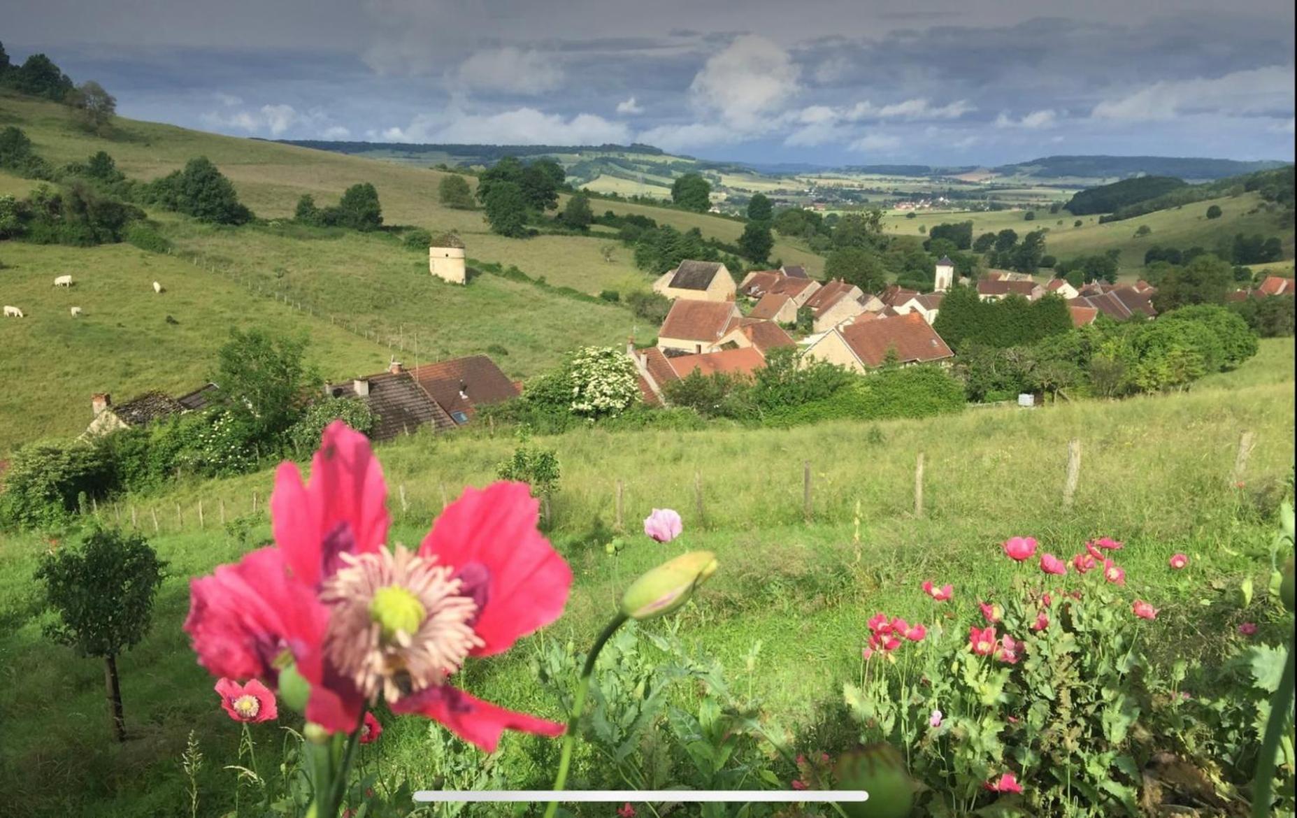 La Petite Maison Dans La Campagne Massingy-les-Vitteaux Exterior photo